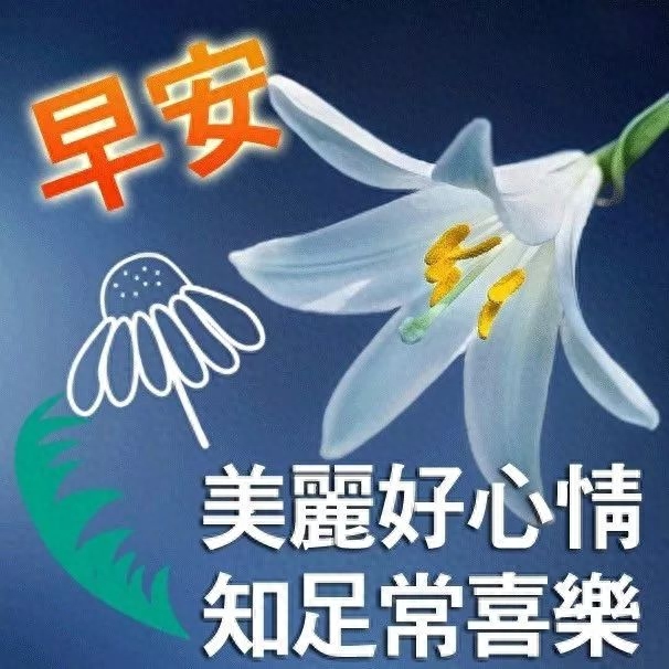 心若相知，无需多言也能默契相通；情若相融，无需承诺也能长久相候(图5)
