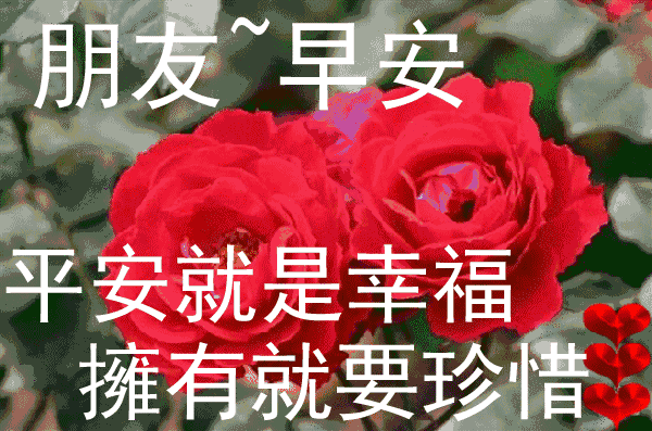 心若相知，无需多言也能默契相通；情若相融，无需承诺也能长久相候(图6)