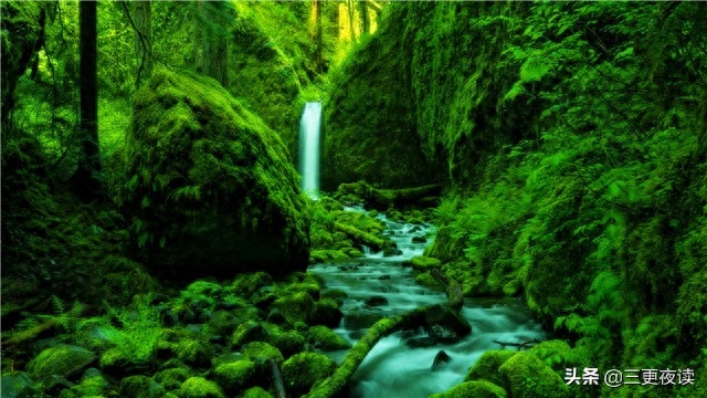 最默契的交流，莫过于心与心的沟通(图1)