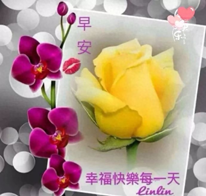 感情；需要理解，相处；需要默契，早安(图1)