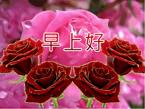 感情；需要理解，相处；需要默契，早安(图2)