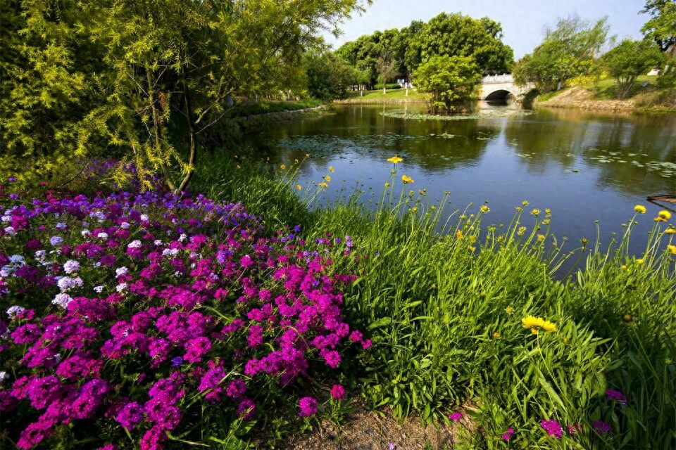 亲爱的，我想和你一起去旅行(原创)(图4)