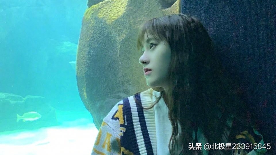 我想和你一起去旅行，带着对自由的向往(图2)