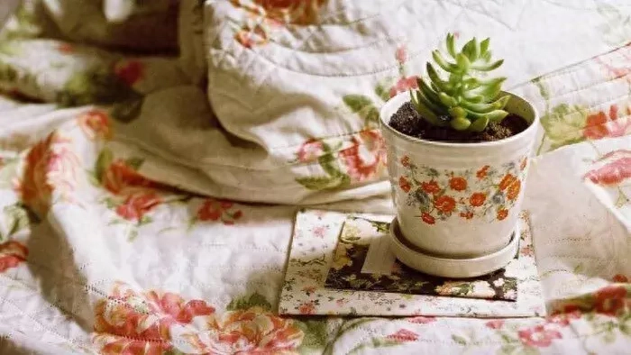 家有贤妻，是您一生的幸福！（说得真好）(图2)