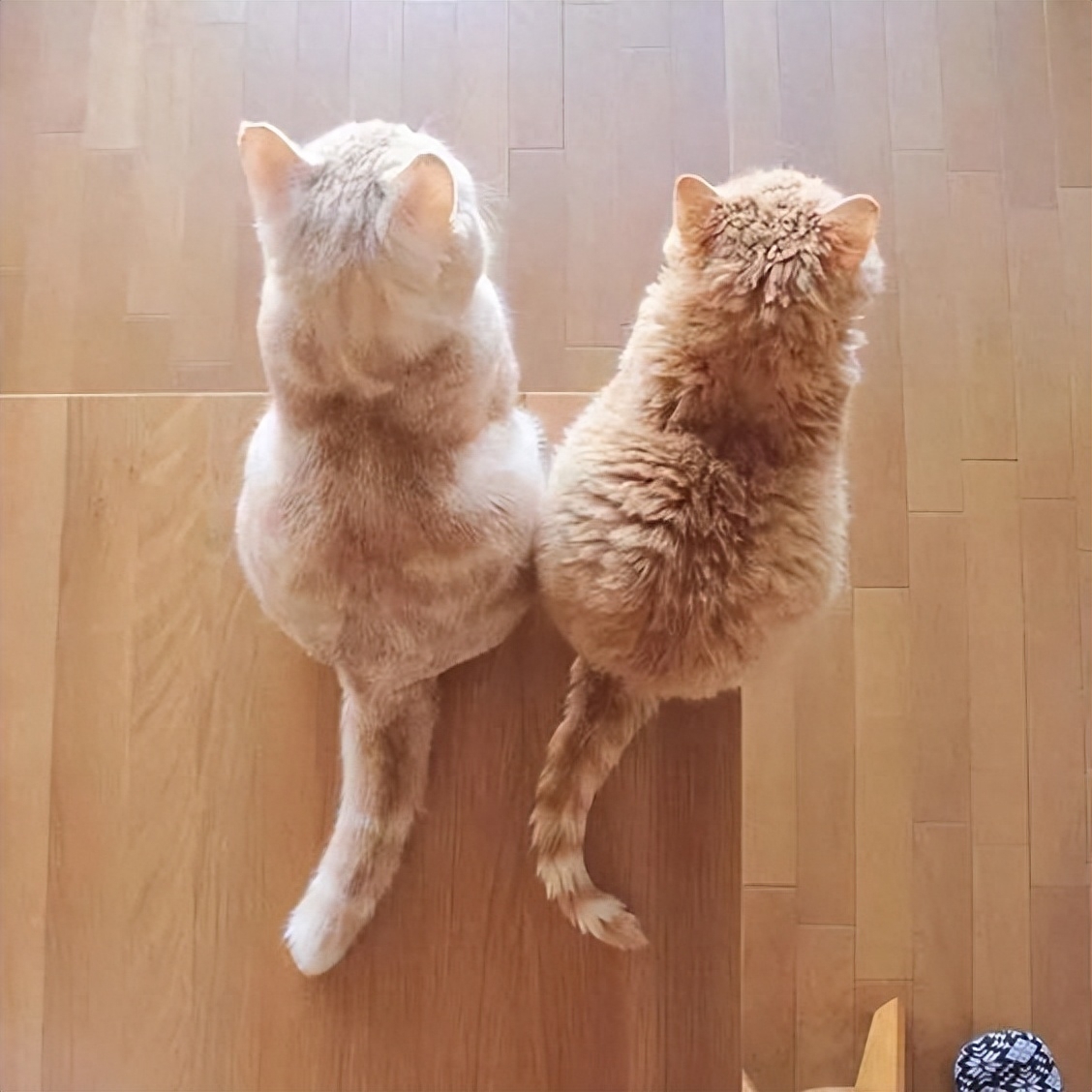 23句柔美而坚韧的背影杀短句，给你力量与感动(图3)