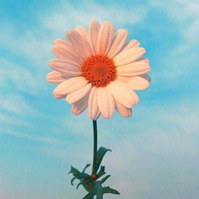 激励人生的励志语录，致不甘平凡的自己！(图1)