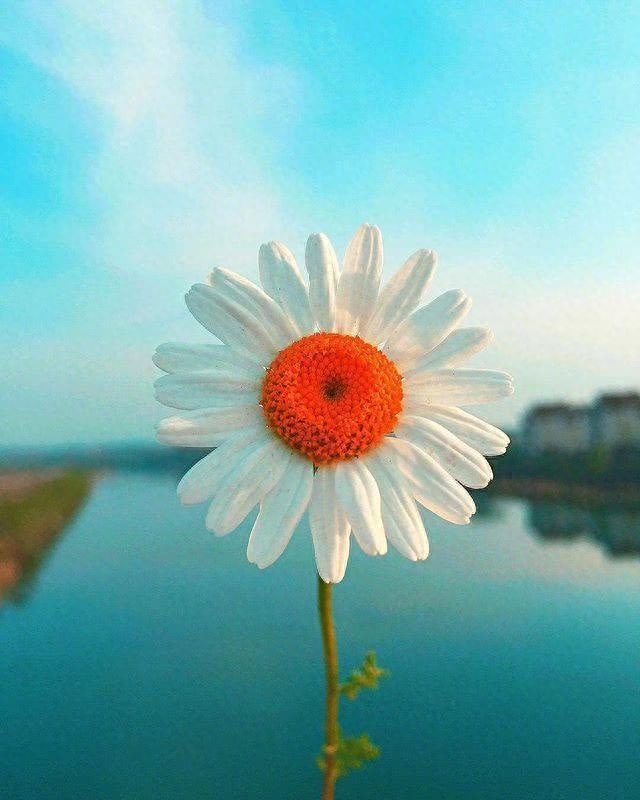 激励人生的励志语录，致不甘平凡的自己！(图2)