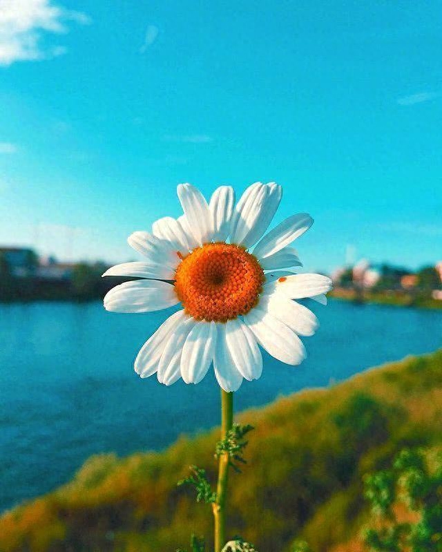 激励人生的励志语录，致不甘平凡的自己！(图3)