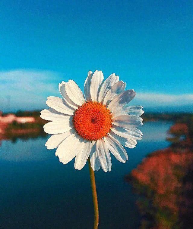 激励人生的励志语录，致不甘平凡的自己！(图4)