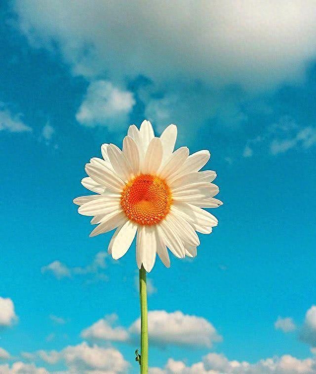 激励人生的励志语录，致不甘平凡的自己！(图5)