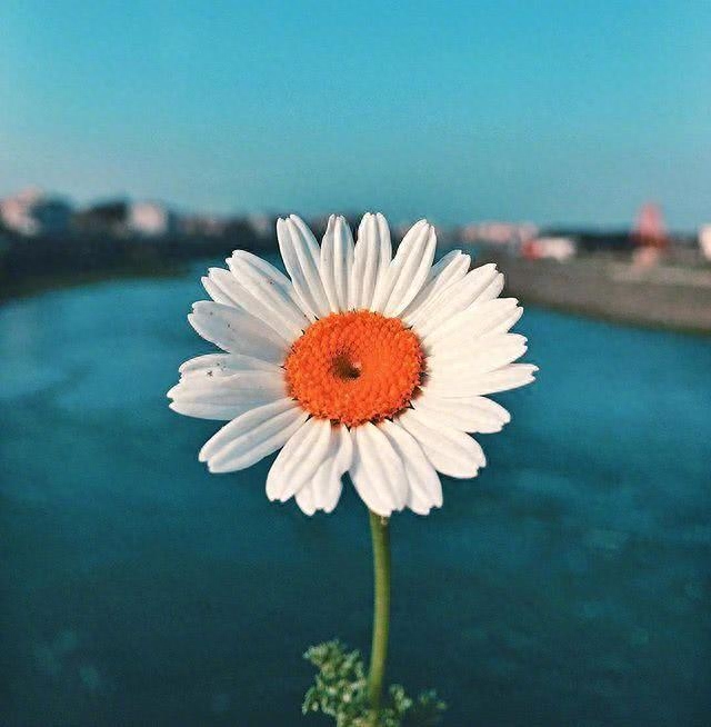 激励人生的励志语录，致不甘平凡的自己！(图6)