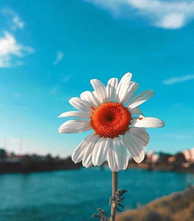 激励人生的励志语录，致不甘平凡的自己！(图7)