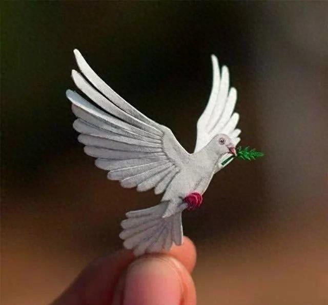 经典讽刺的句子，负能量鸡汤(图2)