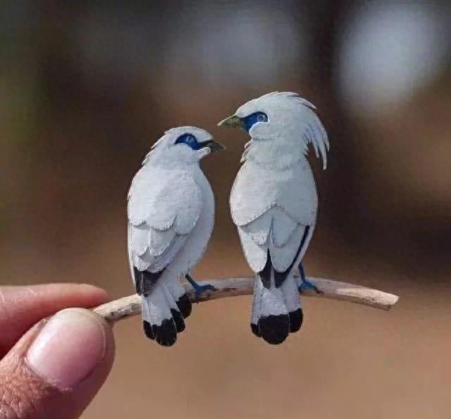 经典讽刺的句子，负能量鸡汤(图4)