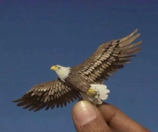 经典讽刺的句子，负能量鸡汤(图7)