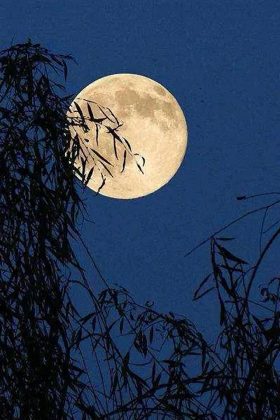 中秋话心愿，今宵共团圆(图1)