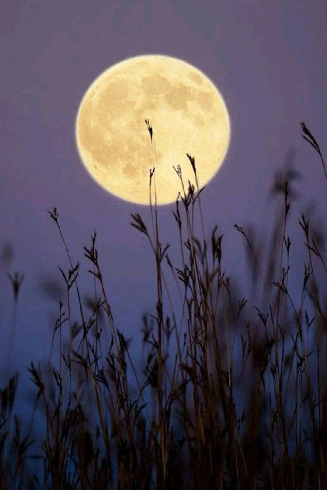 中秋话心愿，今宵共团圆(图2)