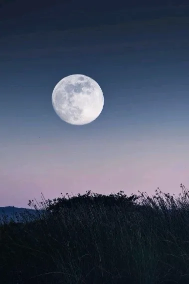 中秋话心愿，今宵共团圆(图3)