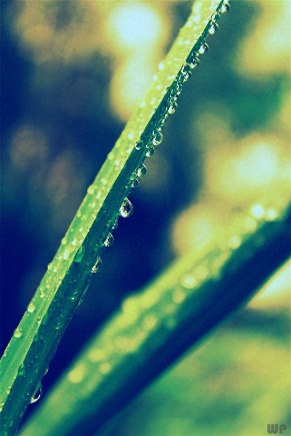 让人静心的禅语，句句触碰心灵(图5)