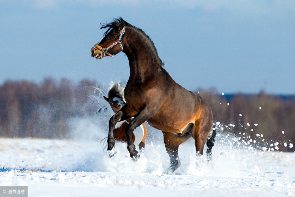 飞花令“马”，您能接几句？(图2)