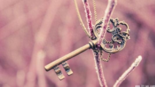 星河诗歌：一只受伤的鸟 、岁月，请再送我那串串风铃(图3)