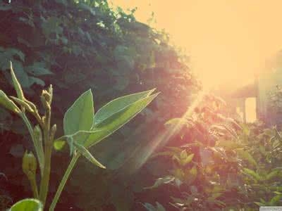 星河诗歌：一只受伤的鸟 、现实中的现实人(图4)