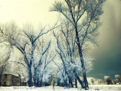 星河诗歌：一只受伤的鸟 、现实中的现实人(图6)