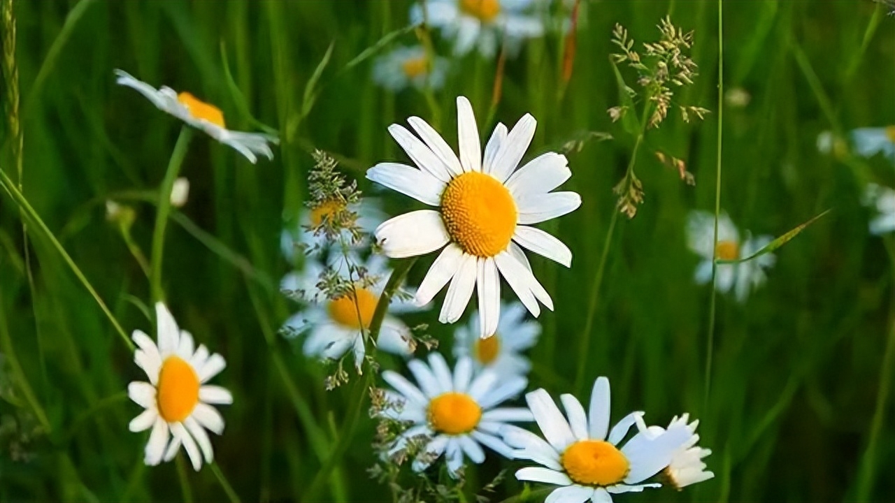 离别不舍又必须走的句子，句句心酸!(图1)