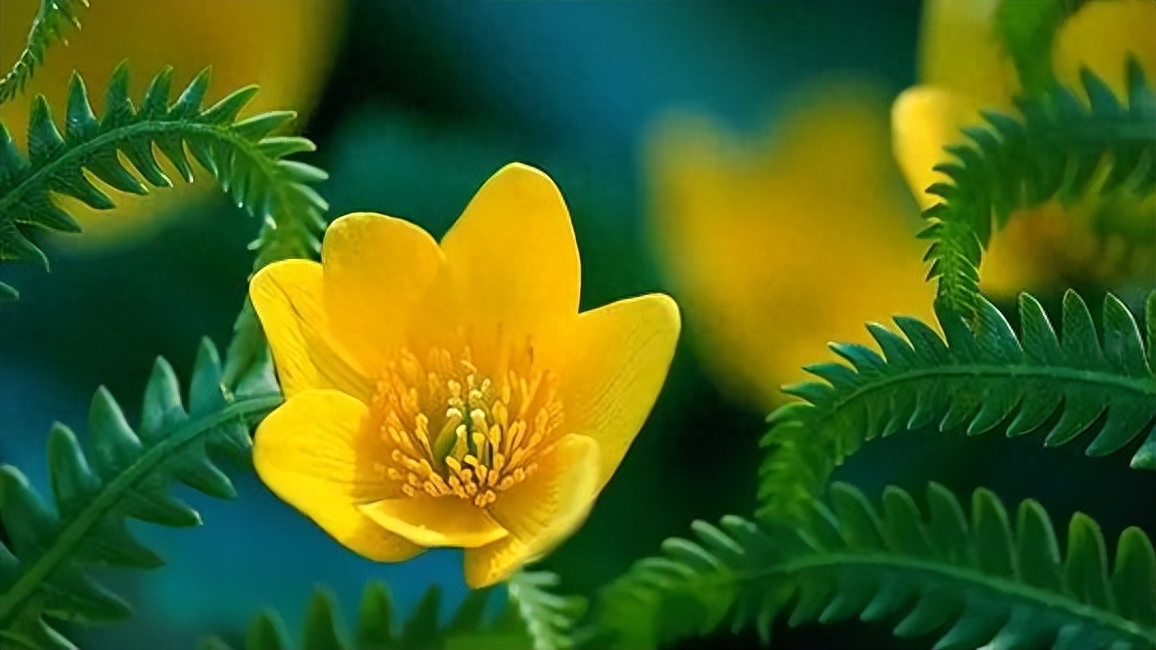 离别不舍又必须走的句子，句句心酸!(图2)