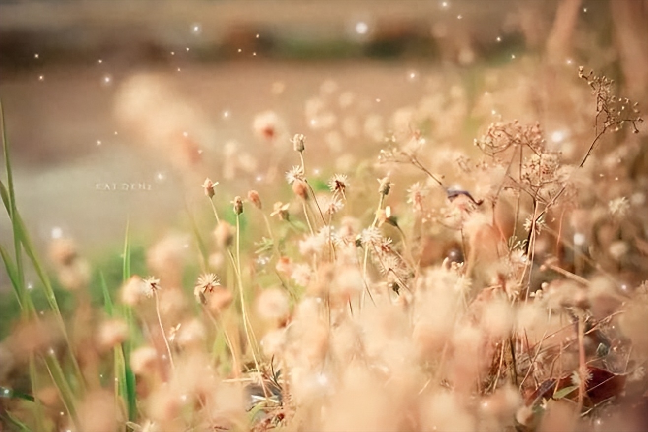 离别不舍又必须走的句子，句句心酸!(图3)