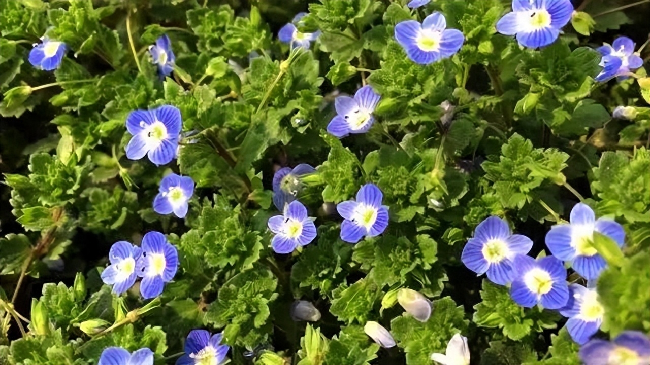 离别不舍又必须走的句子，句句心酸!(图4)