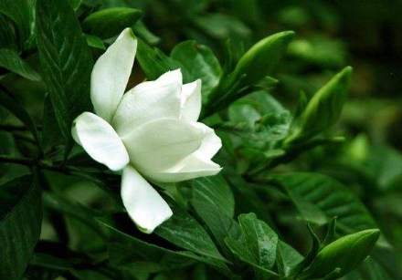 逢人且说三分话，恶语伤人六月寒，切记：言多必失，祸从口出(图3)