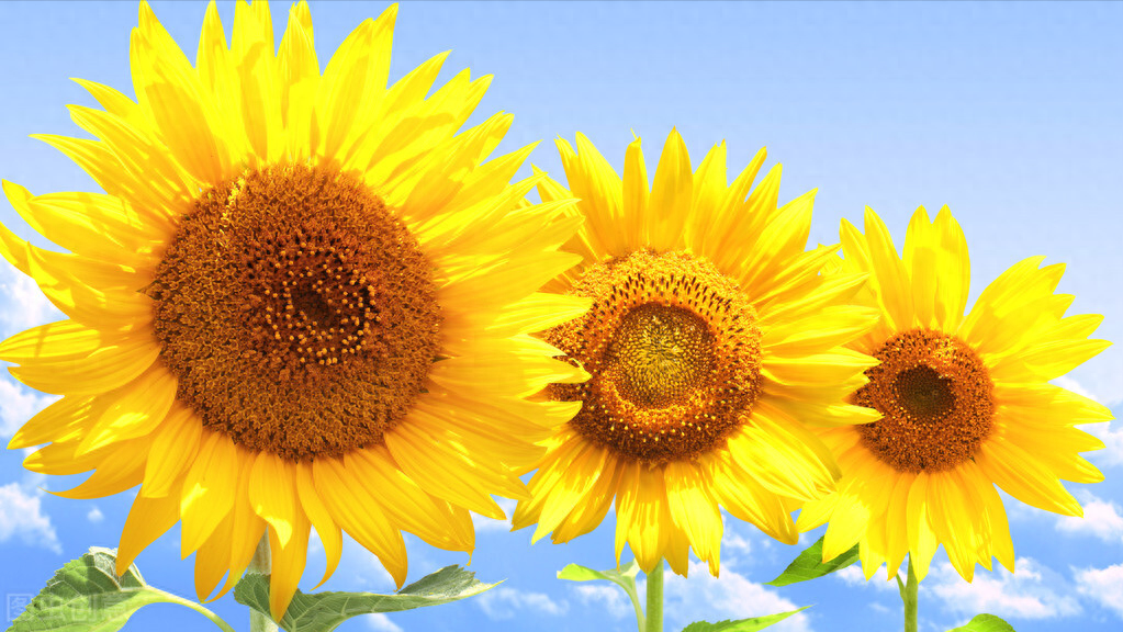 「 一语顿悟，改变人生 」名言金句「 2 」(图2)