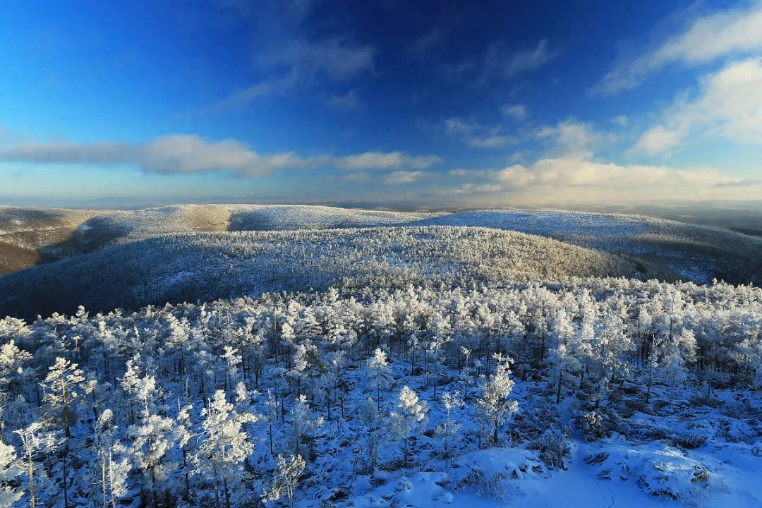 《论语》通读 |《颜渊篇》（149）(图1)