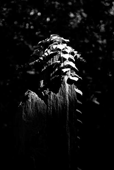 自律之境,在“胜寸心”(图1) 自律之境,在“胜寸心”(图1)