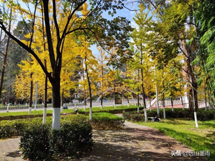 河水清澈、水草飘摇，河岸景致、色彩缤纷，初冬的昆明盘龙江，美(图2)