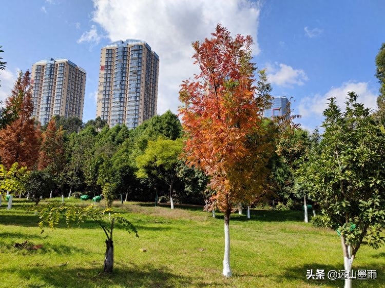 河水清澈、水草飘摇，河岸景致、色彩缤纷，初冬的昆明盘龙江，美(图5)