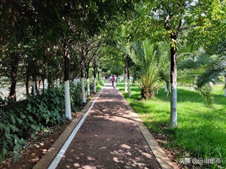 河水清澈、水草飘摇，河岸景致、色彩缤纷，初冬的昆明盘龙江，美(图6)