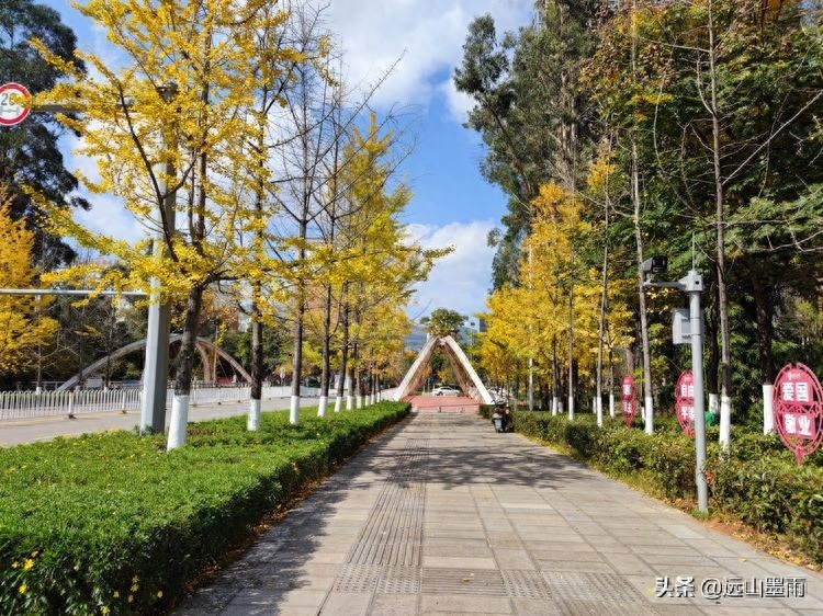 河水清澈、水草飘摇,河岸景致、色彩缤纷,初冬的昆明盘龙江,美(图7) 河水清澈、水草飘摇,河岸景致、色彩缤纷,初冬的昆明盘龙江,美(图7)