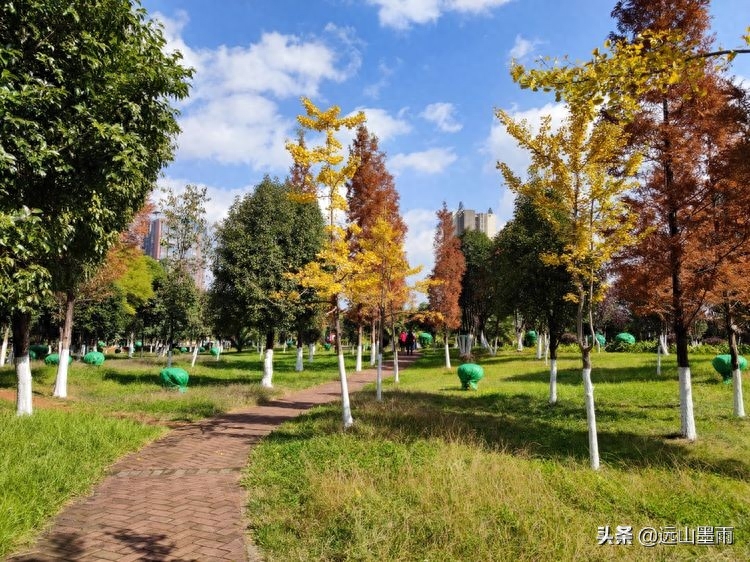 河水清澈、水草飘摇，河岸景致、色彩缤纷，初冬的昆明盘龙江，美(图8)