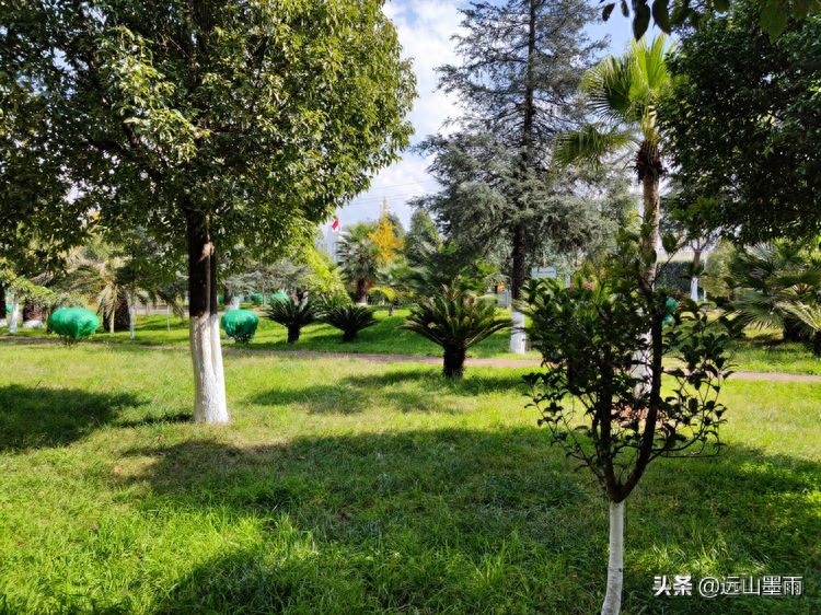 河水清澈、水草飘摇,河岸景致、色彩缤纷,初冬的昆明盘龙江,美(图9) 河水清澈、水草飘摇,河岸景致、色彩缤纷,初冬的昆明盘龙江,美(图9)