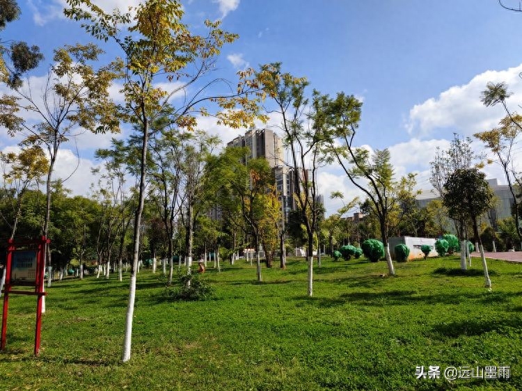 河水清澈、水草飘摇，河岸景致、色彩缤纷，初冬的昆明盘龙江，美(图10)