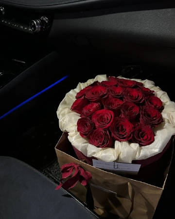 八月致自己的人生格言,每日一读,豁达一生!(图1) 八月致自己的人生格言,每日一读,豁达一生!(图1)