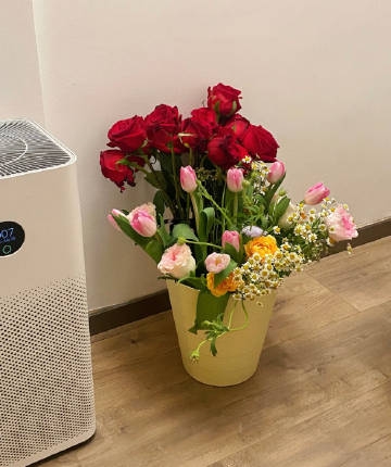 八月致自己的人生格言,每日一读,豁达一生!(图7) 八月致自己的人生格言,每日一读,豁达一生!(图7)