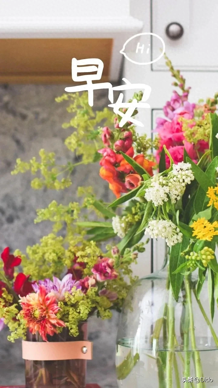 美好的一天从清晨开始的句子(图1)