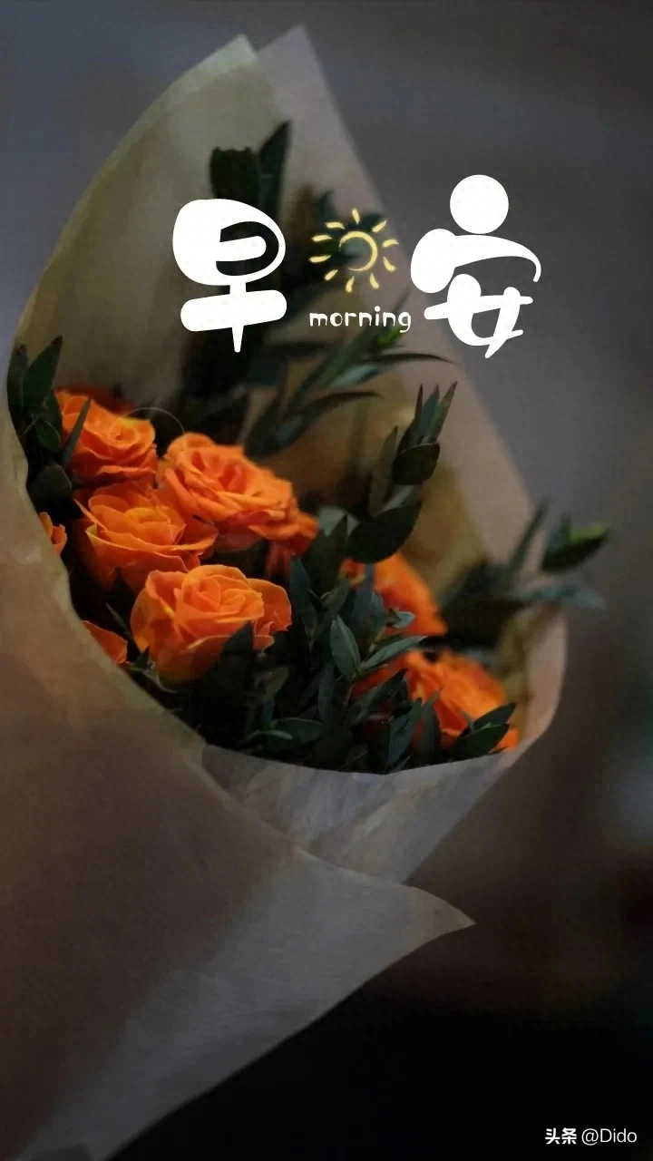 美好的一天从清晨开始的句子(图2)