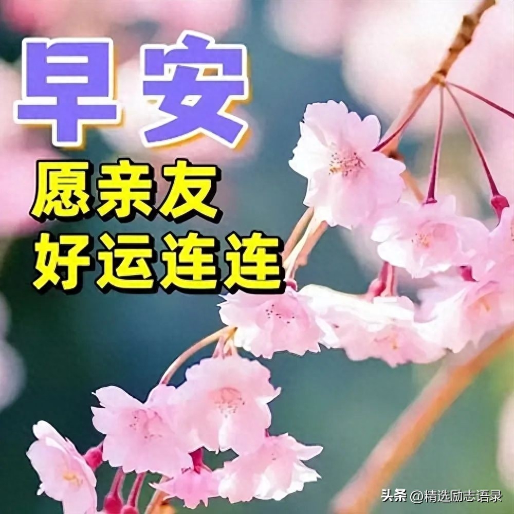 一天一句心情早安语，最经典的早上好祝福图片(图2)
