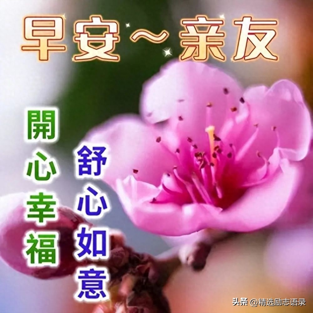 一天一句心情早安语，最经典的早上好祝福图片(图6)