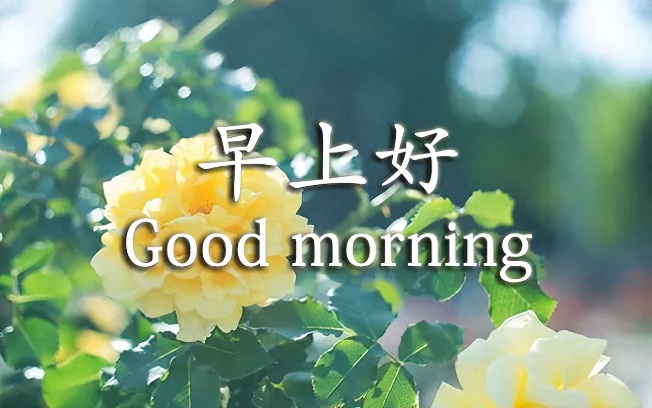 最新早上好微信暖心问候语录句子，周日早安，晴来欣赏、雨来赞扬(图1)