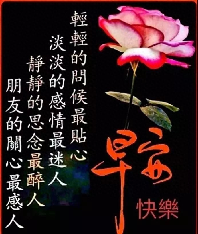 最新早上好微信暖心问候语录句子，周日早安，晴来欣赏、雨来赞扬(图5)